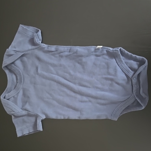 HONEST Gray Baby Onesie - Picture 1 of 4